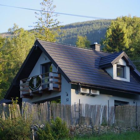 Ski House Szczyrk - Czyrna Exteriör bild